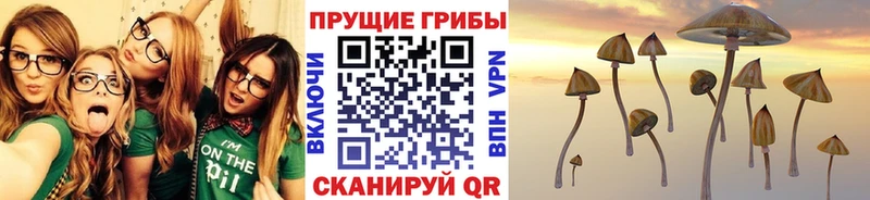 Галлюциногенные грибы ЛСД  Арзамас 